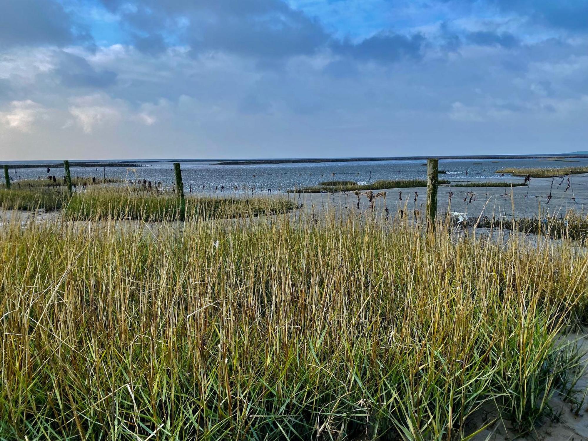 Salzwiesenblick Büsum Esterno foto